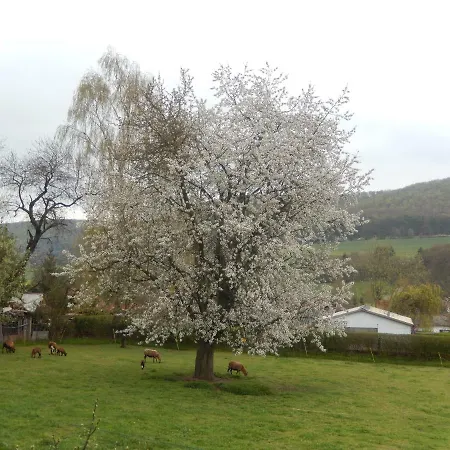 Ferienwohnung In Der Rhon Meiningen